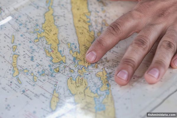 深度解析捕鱼达人小游戏中冷号遗漏值数据分析与提款策略