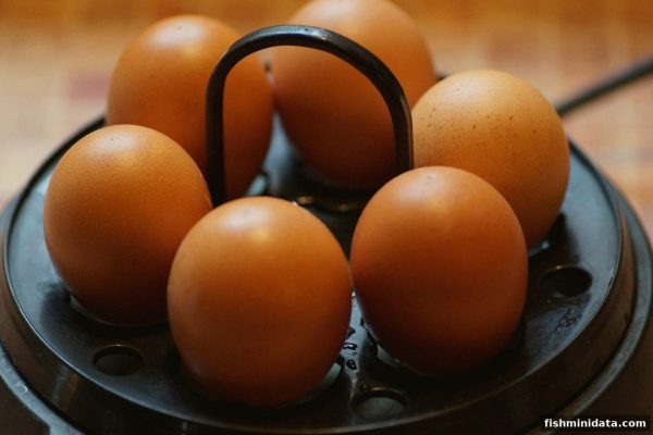 捕鱼达人小游戏视角下的转轴机制：科技革新与ISO认证深度融合